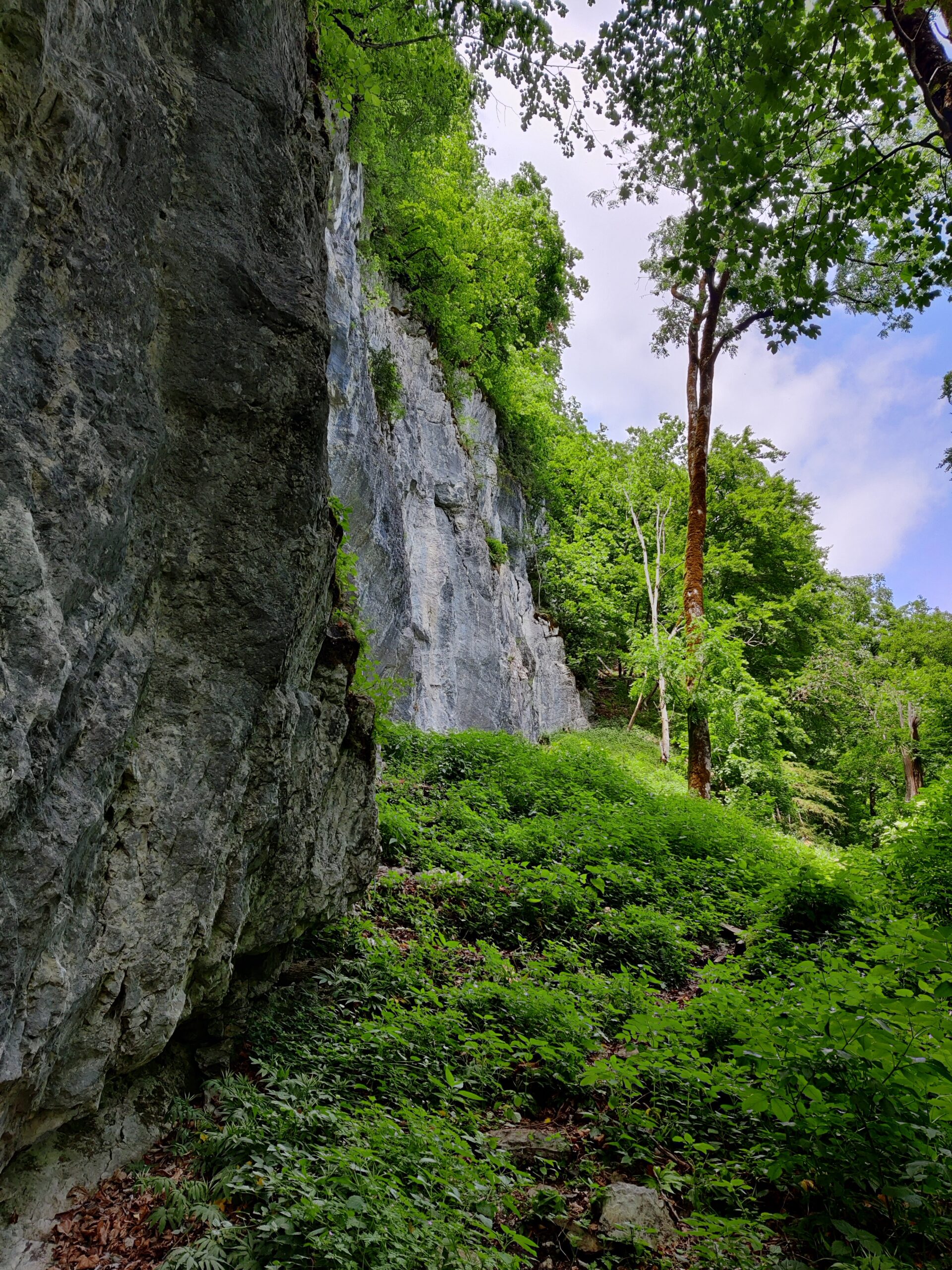 Klettern an der Plattenwand (Plattenwald GL)
