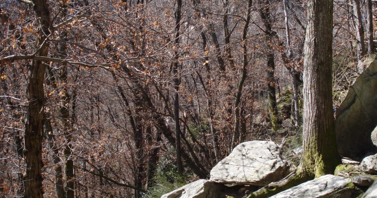 Klettern in Arcegno
