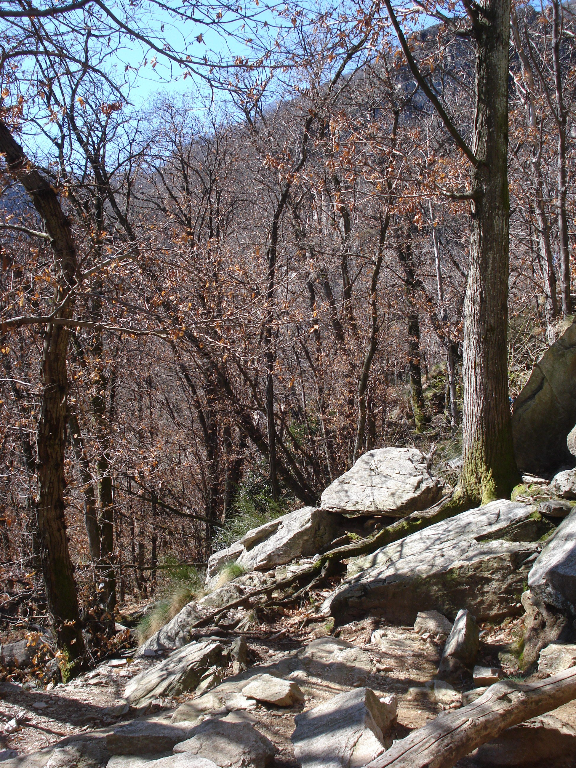 Klettern in Arcegno