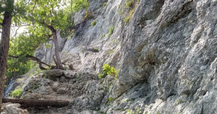 Klettern in Orvin, Sektoren “Nouvelle Nuance” und “No Limits”